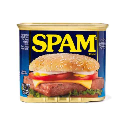 SPAM CLASSIC 340G