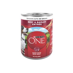 PURINA ONE BEEF & BARLEY ADULT DOG FOOD 13oz