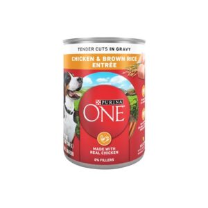 PURINA ONE CHICKEN & BROWN RICE ADULT DOG FOOD 13oz