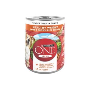 PURINA ONE HEALTHY WEIGHT LAMB & BROWN RICE ADULT DOG FOOD 13oz